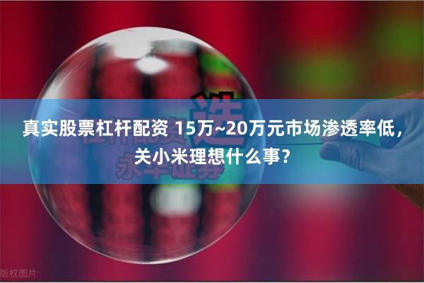 真实股票杠杆配资 15万~20万元市场渗透率低，关小米理想什么事？