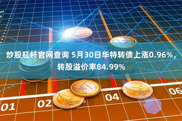 炒股杠杆官网查询 5月30日华特转债上涨0.96%，转股溢价率84.99%