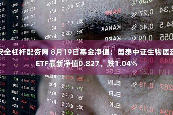 安全杠杆配资网 8月19日基金净值：国泰中证生物医药ETF最新净值0.827，跌1.04%